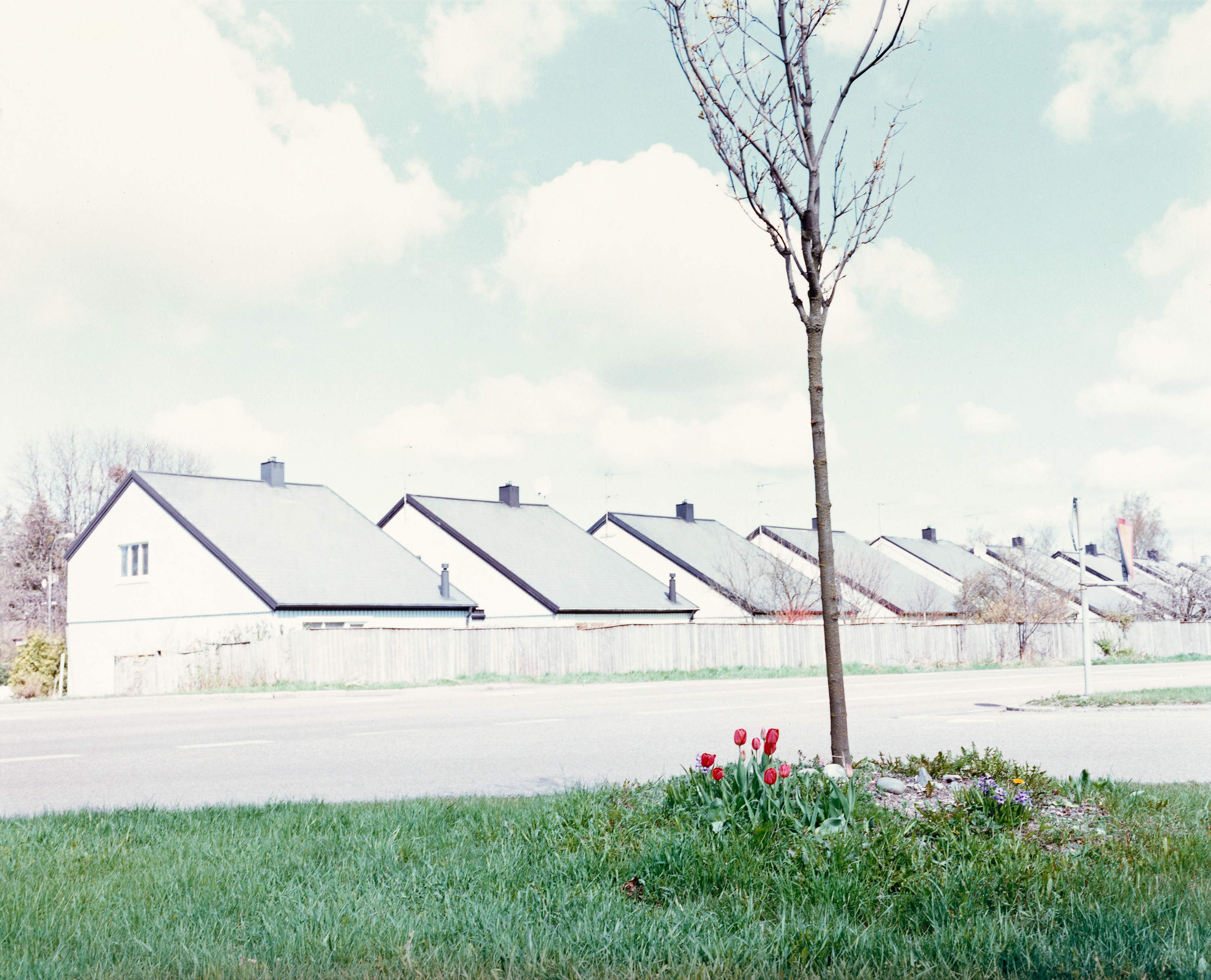 foto föreställande en rad med likadana vitmålade hus och i förgrunden några planterade röda tulpaner