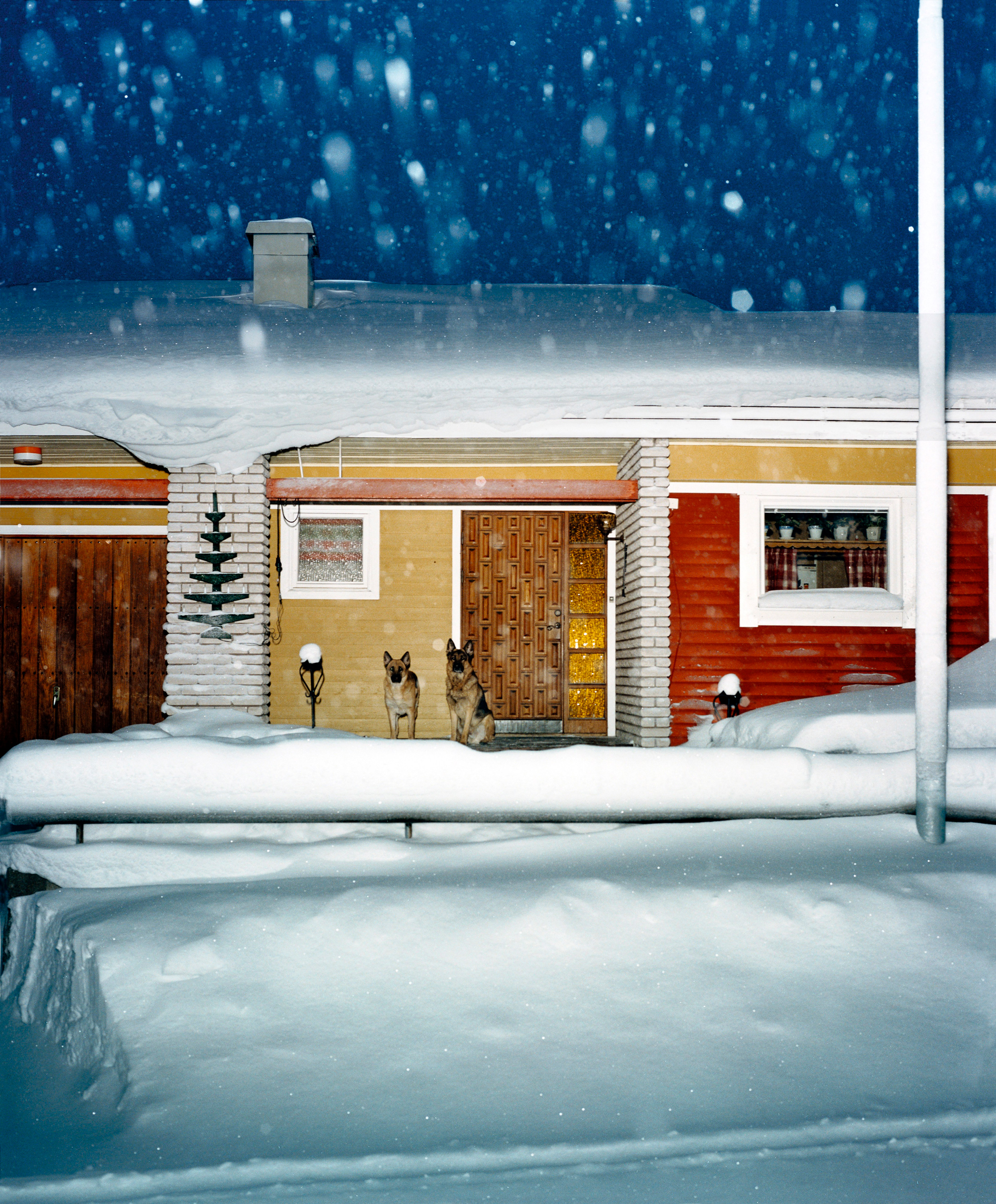 foto föreställande en uppfart och entre till ett snötäckt bostadshus, två hundar står och skäller utanför dörren.