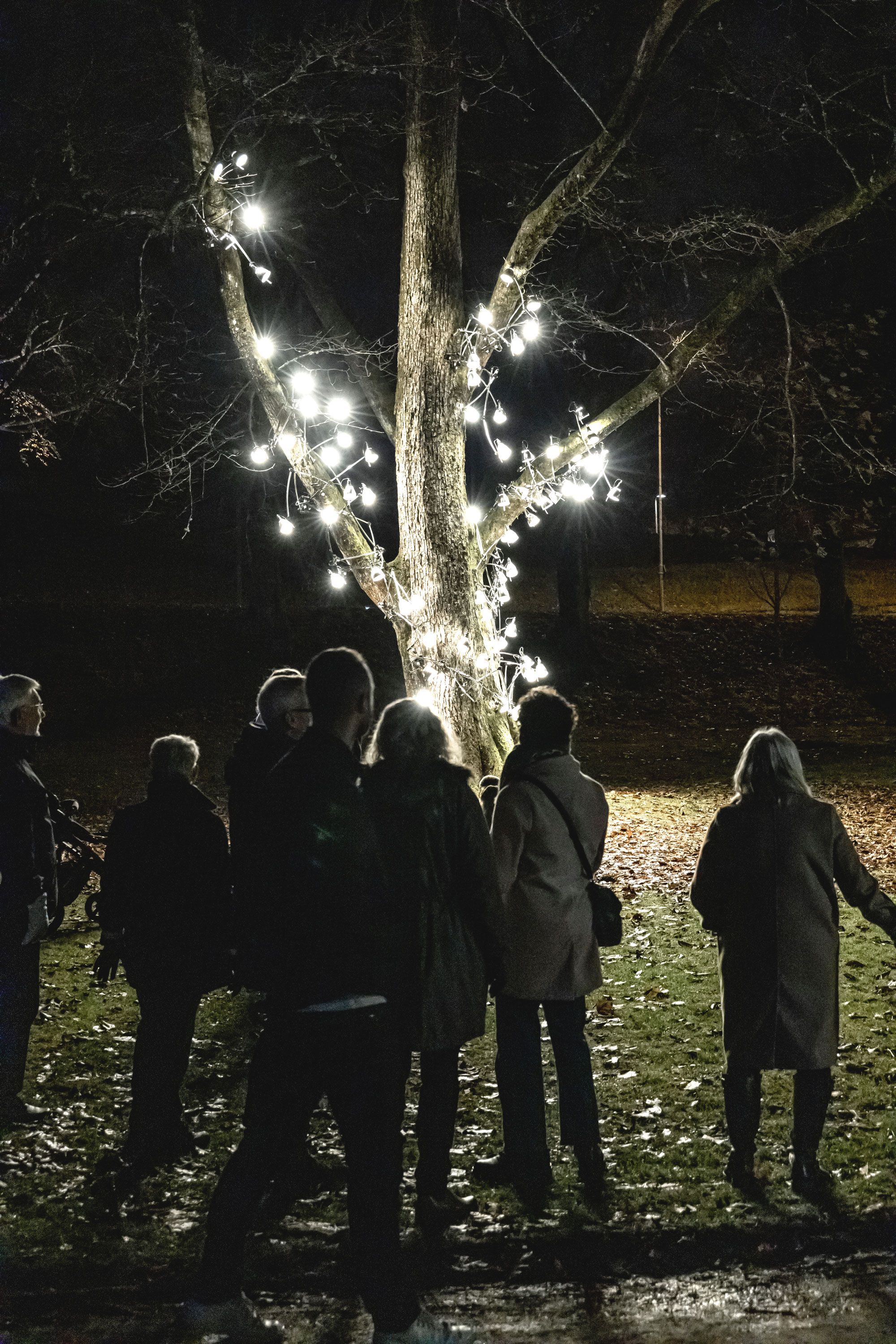 Ett tiotal personer som i kvällsmörker betraktar ett träd med ett hundratal lampor i.